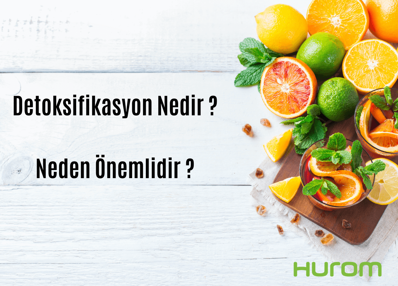 detoksifikasyon nedir