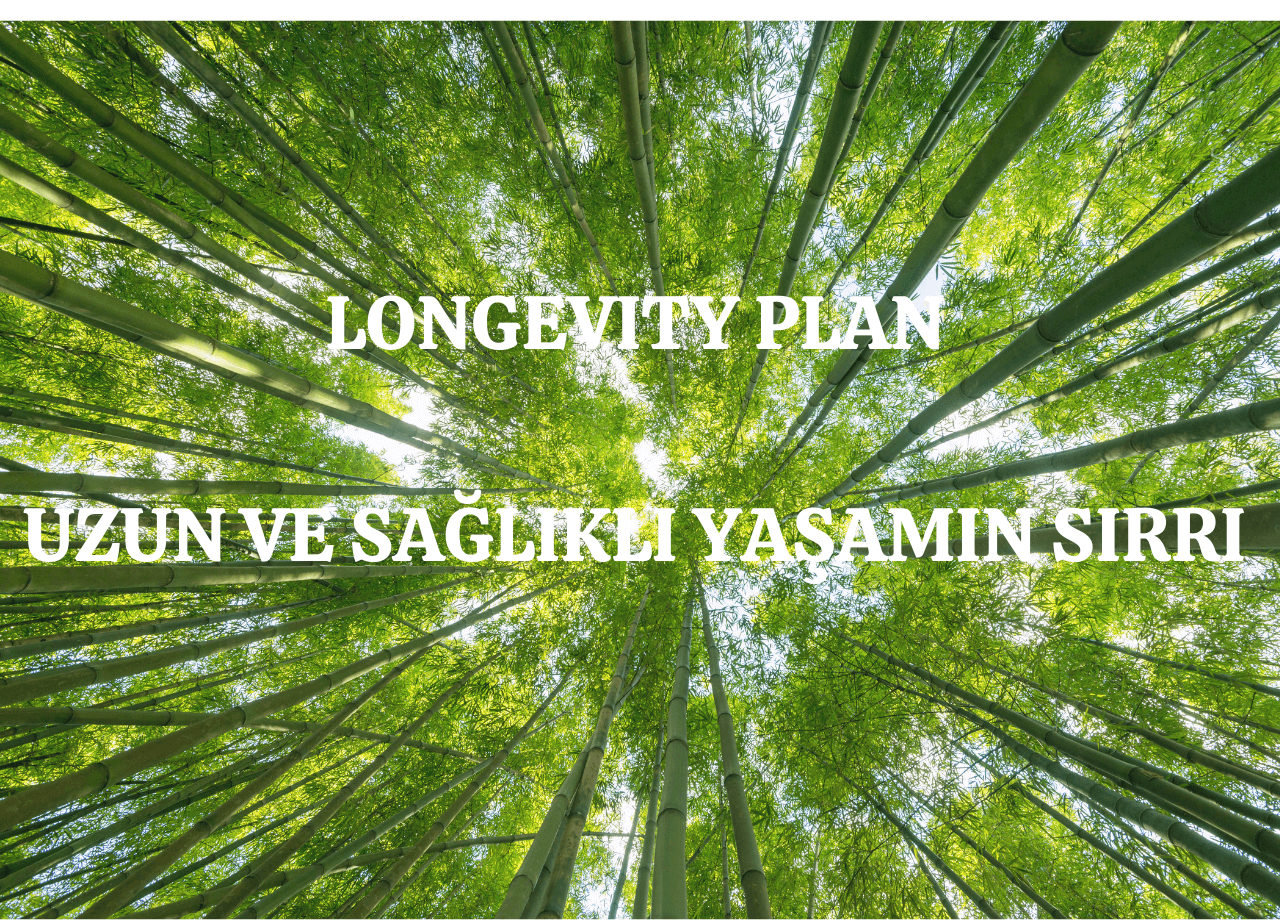 Nedir Bu Longevity Plan ?